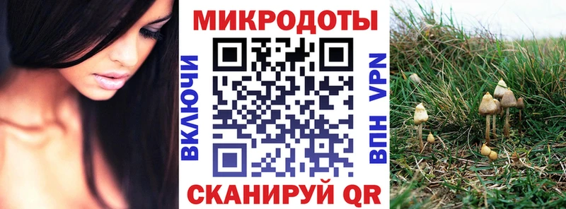 Галлюциногенные грибы Cubensis что такое Орёл